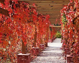 Beijing Jinyu Badaling Hot Spring Resort Xiaohetun エクステリア 写真